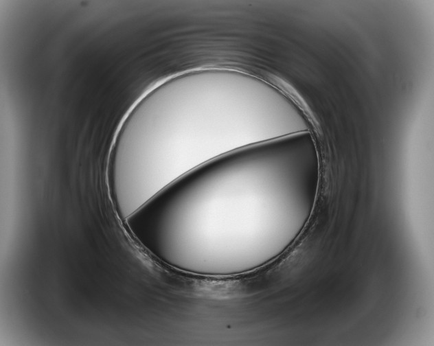 X0000087561284200704270919