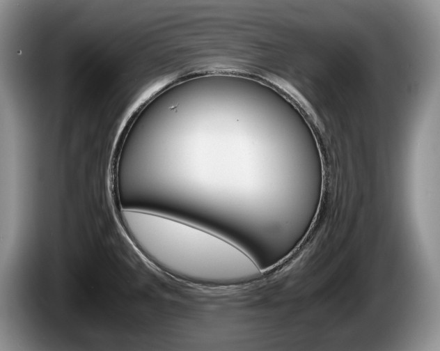 X0000087561285200704270919