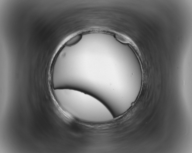X0000087561287200704270919