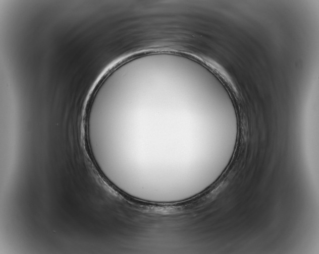 X0000087561288200704270919