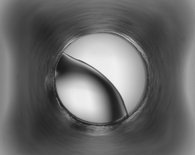 X0000087561289200704270919