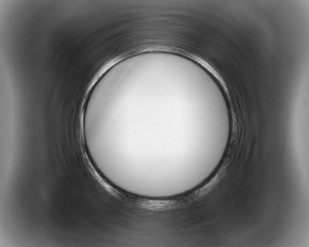 X0000087561290200704270919