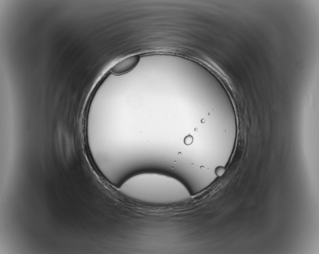 X0000087561291200704270919