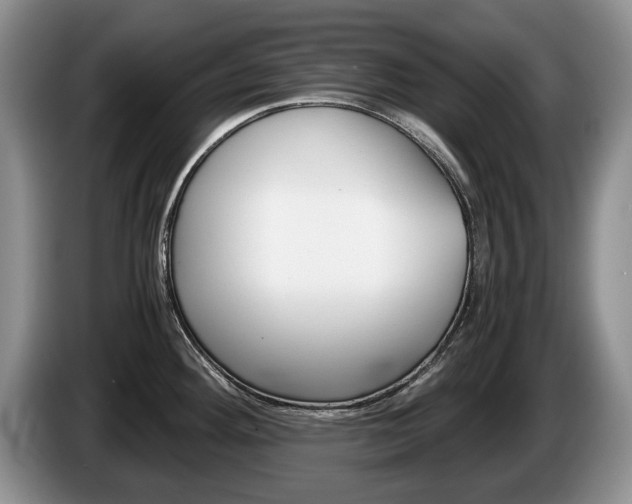X0000087561292200704270919
