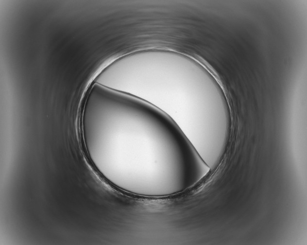 X0000087561293200704270919