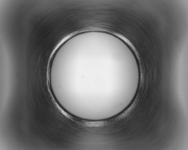 X0000087561294200704270919