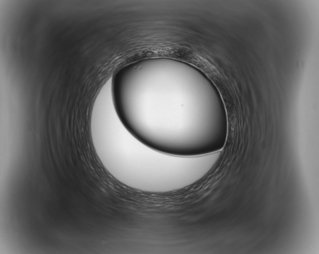 X0000087561298200704270918