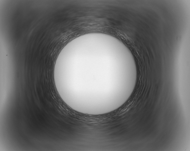 X0000087561300200704270919
