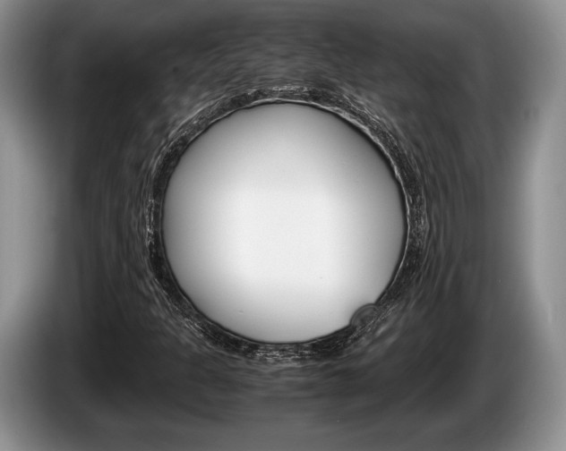 X0000087561301200704270919