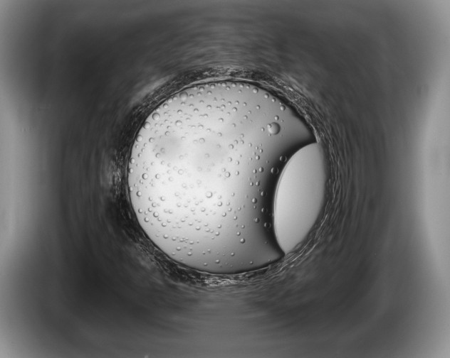 X0000087561302200704270919