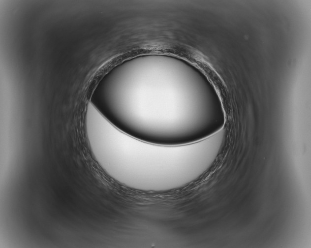 X0000087561304200704270919