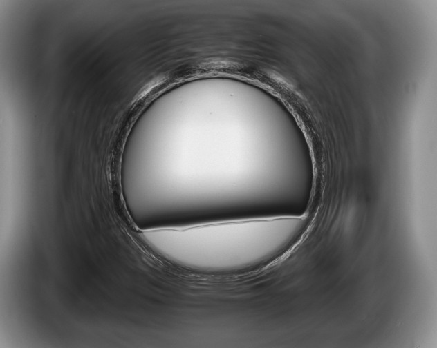 X0000087561305200704270919