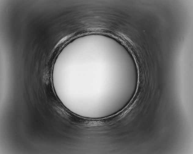 X0000087561306200704270919