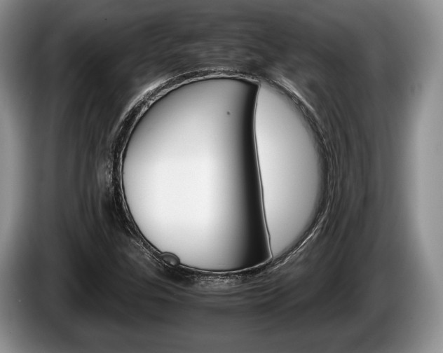 X0000087561307200704270919