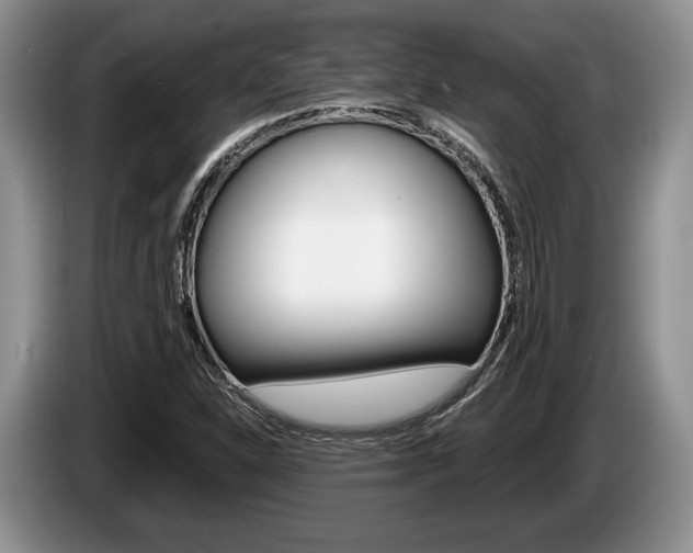 X0000087561310200704270919