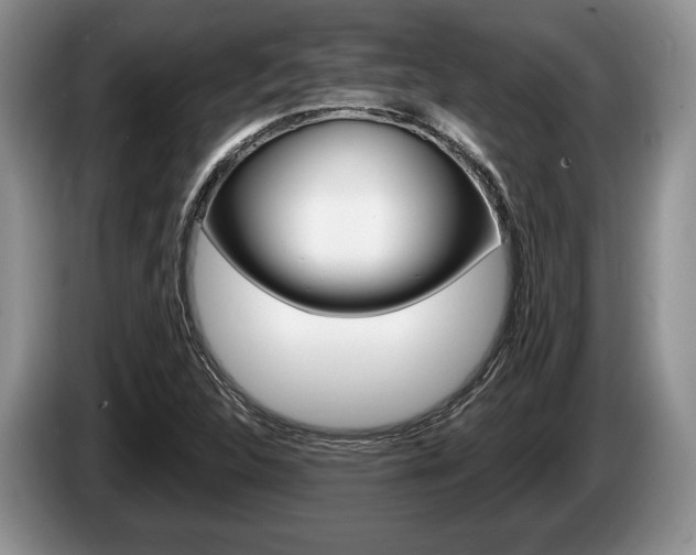 X0000087561312200704270919