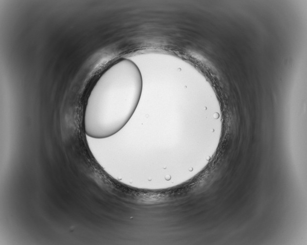 X0000087561314200704270919