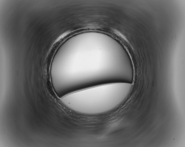 X0000087561315200704270919