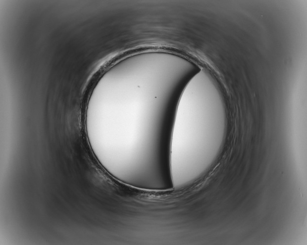 X0000087561318200704270919