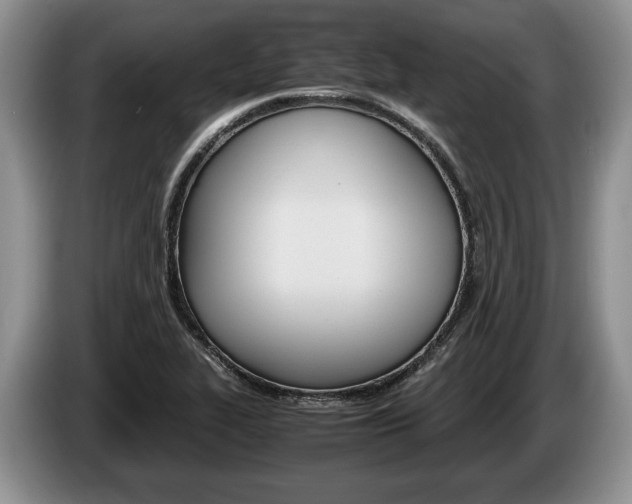 X0000087561319200704270919