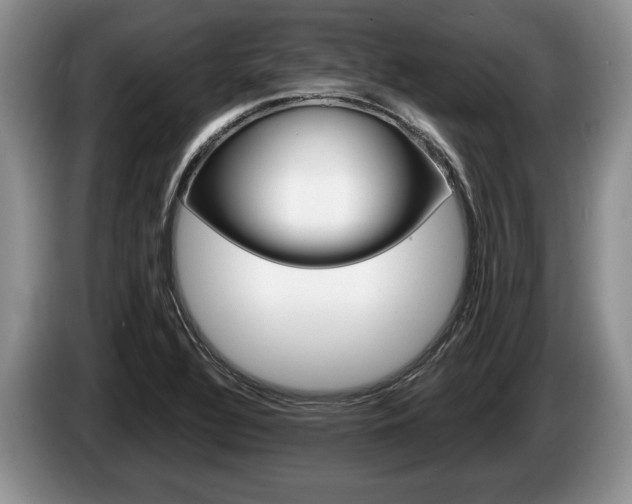 X0000087561320200704270919