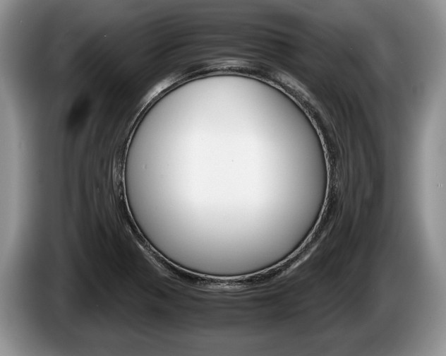 X0000087561321200704270919