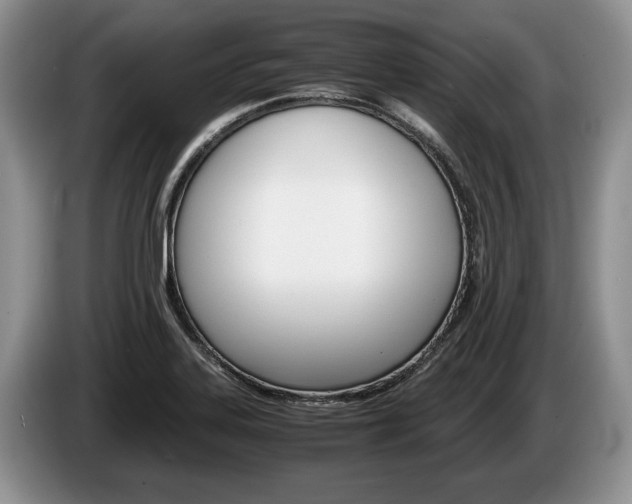 X0000087561323200704270919