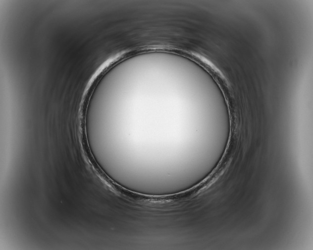 X0000087561325200704270919
