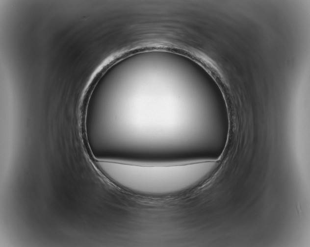 X0000087561326200704270919