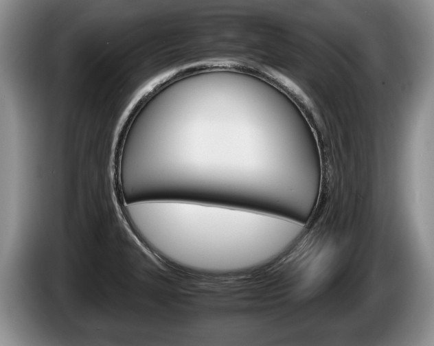 X0000087561327200704270919