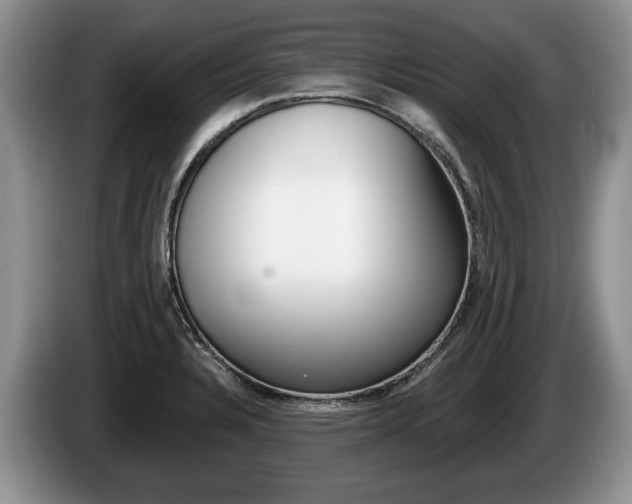 X0000087561328200704270919