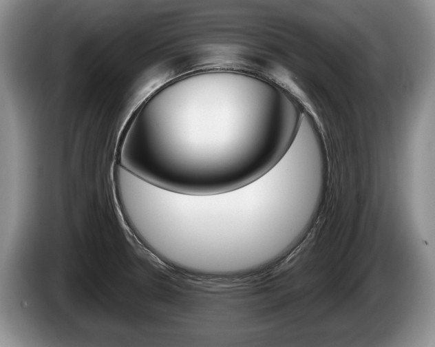 X0000087561330200704270919