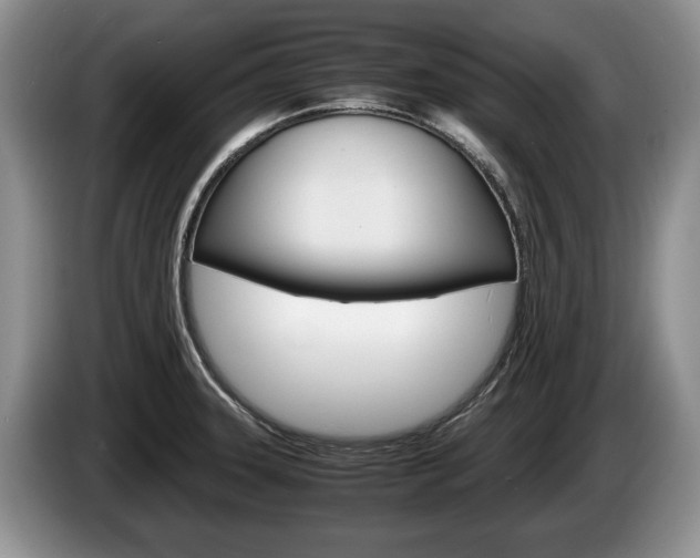 X0000087561331200704270919