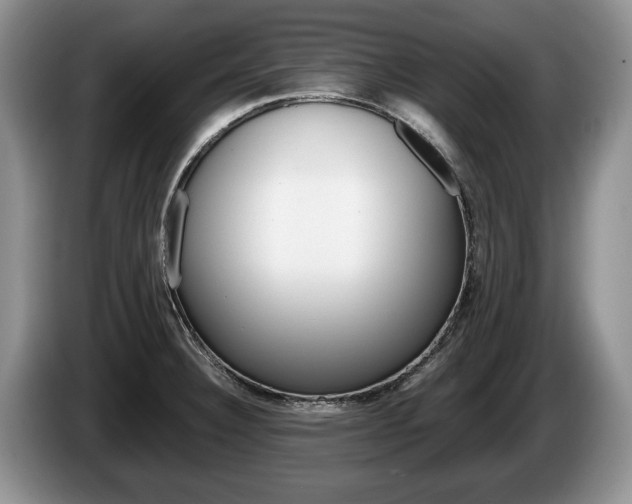 X0000087561332200704270919