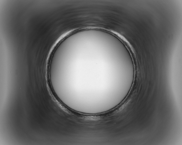 X0000087561333200704270919