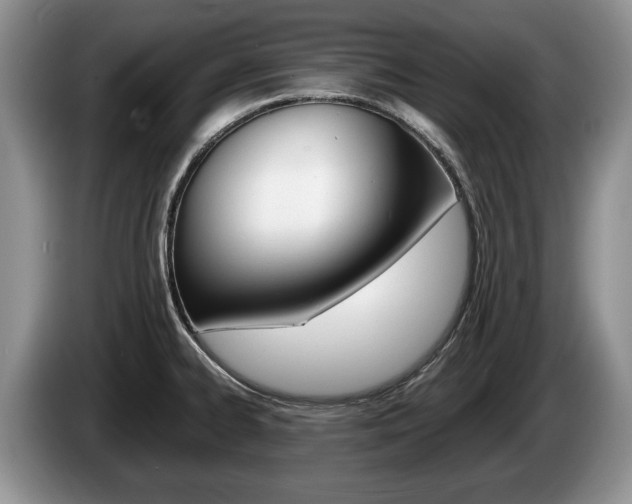 X0000087561334200704270919