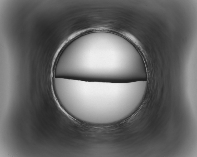 X0000087561335200704270919
