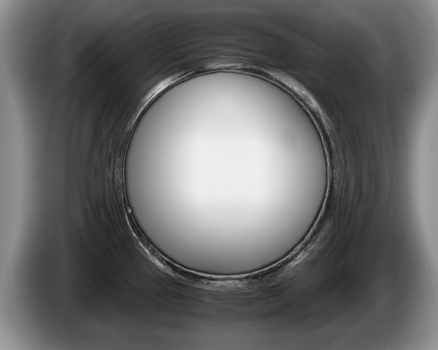 X0000087561337200704270919