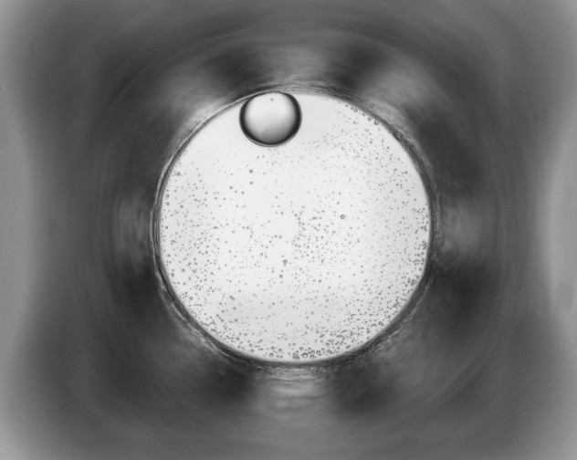 X0000087561338200704270919