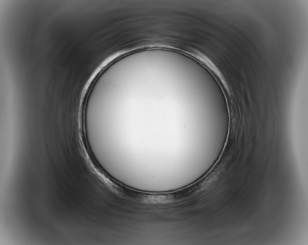 X0000087561339200704270919
