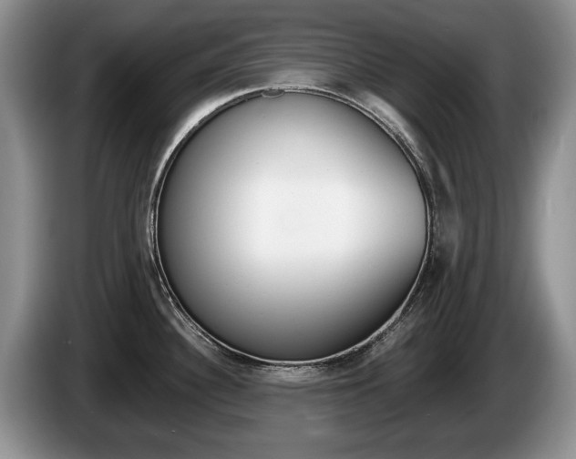 X0000087561340200704270919