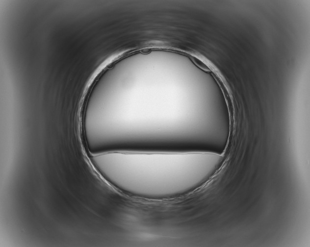 X0000087561341200704270919