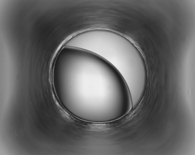X0000087561342200704270919
