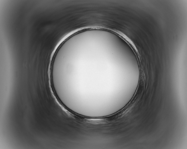 X0000087561343200704270919