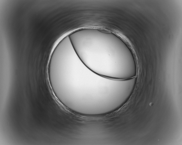 X0000087561344200704270919