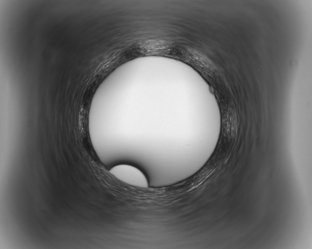 X0000087561346200704270918