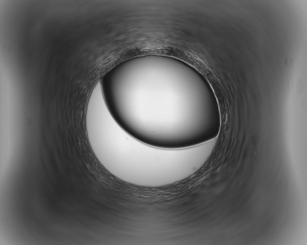 X0000087561348200704270918