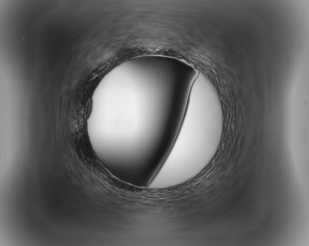 X0000087561349200704270918