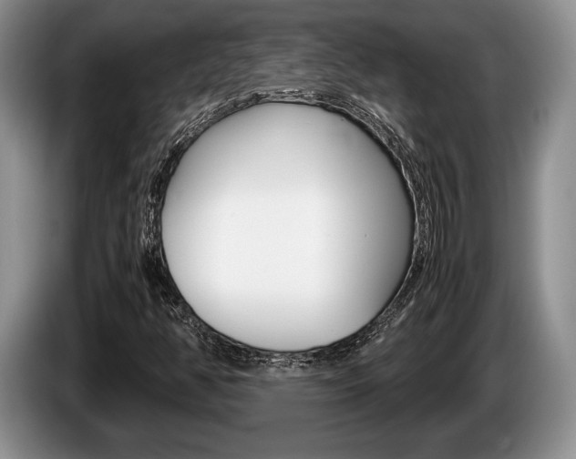 X0000087561350200704270918