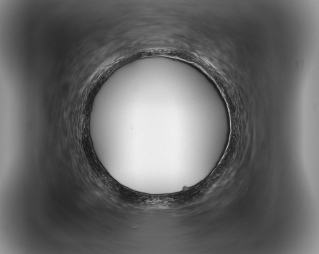 X0000087561351200704270918